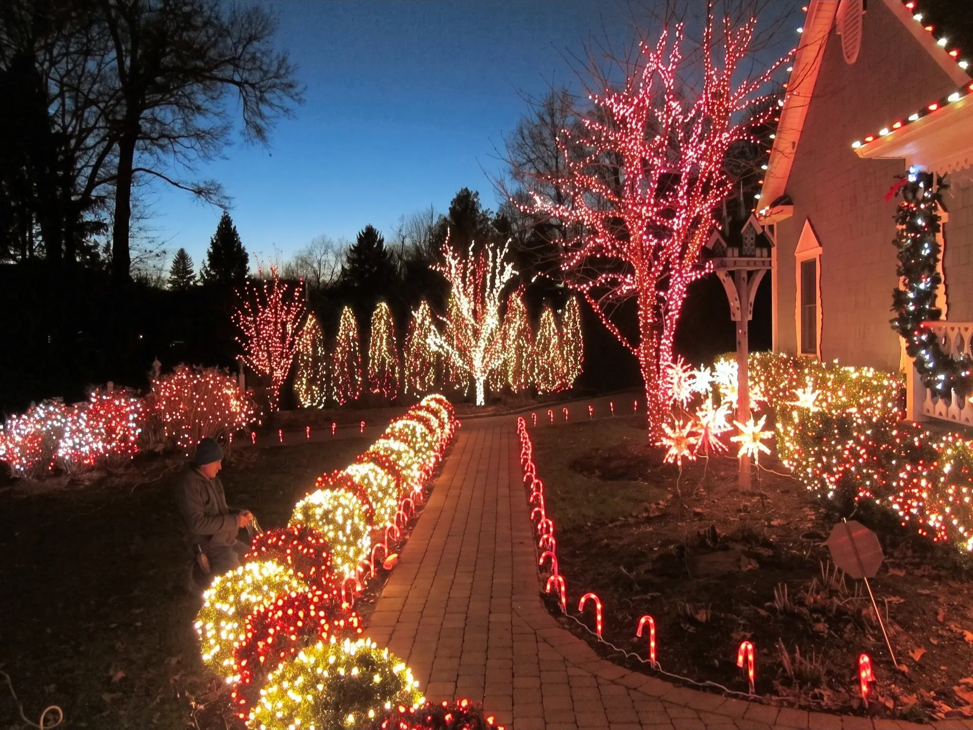 Installer kneeling beside lit boxwoods at dusk, with a brick walkway, candy-cane lights and wrapped trees glowing behind him